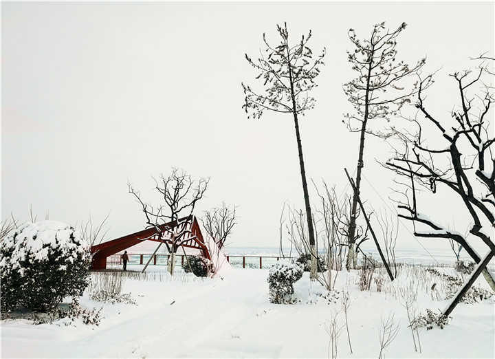 張俊捷-5.一點紅銹 2017-12-23  白紙黑墨再配上一筆暖色，構成了一幅有韻味的畫面。耐候鋼與油松的高矮對比，奠定了畫面的平衡。.jpg