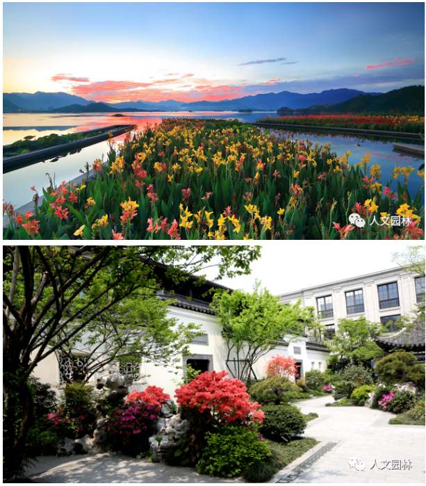 1683791981137585323E.png image.png